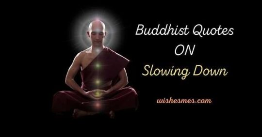 Buddhist Quotes on Slowing Down